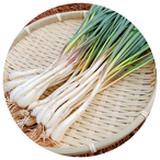 沖縄 久米島産 島らっきょう 2 かふぅ農園 久米島