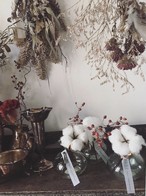 色と素材を楽しむ 植物と花瓶のコーディネートセット 色と植物としあわせと Malulu