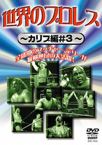 国際プロレスクロニクル 下巻 プロレスショップ レッスル