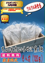 送料無料 彡 数量限定 グルテンフリー お米麺 ちょっと太いくせに素麺 8食1ｇ 麺の匠 グルテンフリー麺の川北製麺 オンラインショップ
