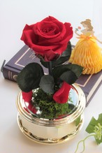 美女と野獣1輪の薔薇 オルゴール 福岡のプリザーブドフラワー専門店 Rosejunoローズユノwebshop ネットショッピング