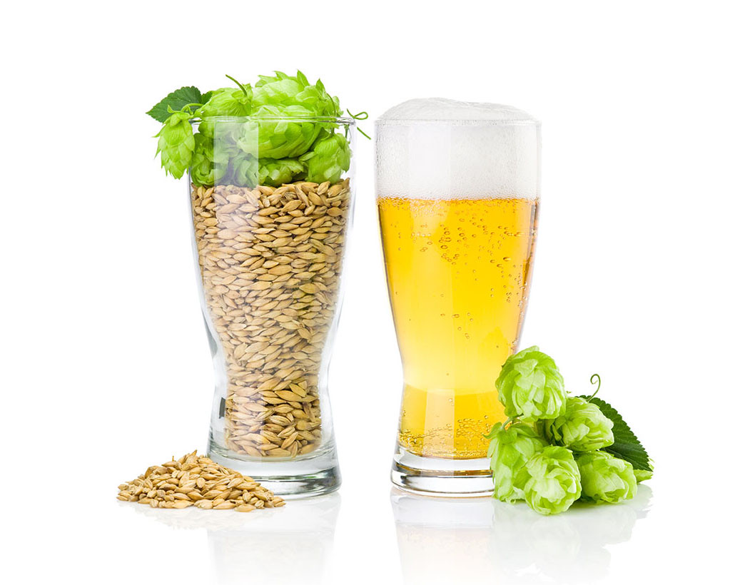 ビール純粋令の話 Beertiful ビアティフル ビールグッズ ビール情報の専門サイト ビール純粋令の話 Beertiful ビアティフル ビールグッズ ビール情報の専門サイト