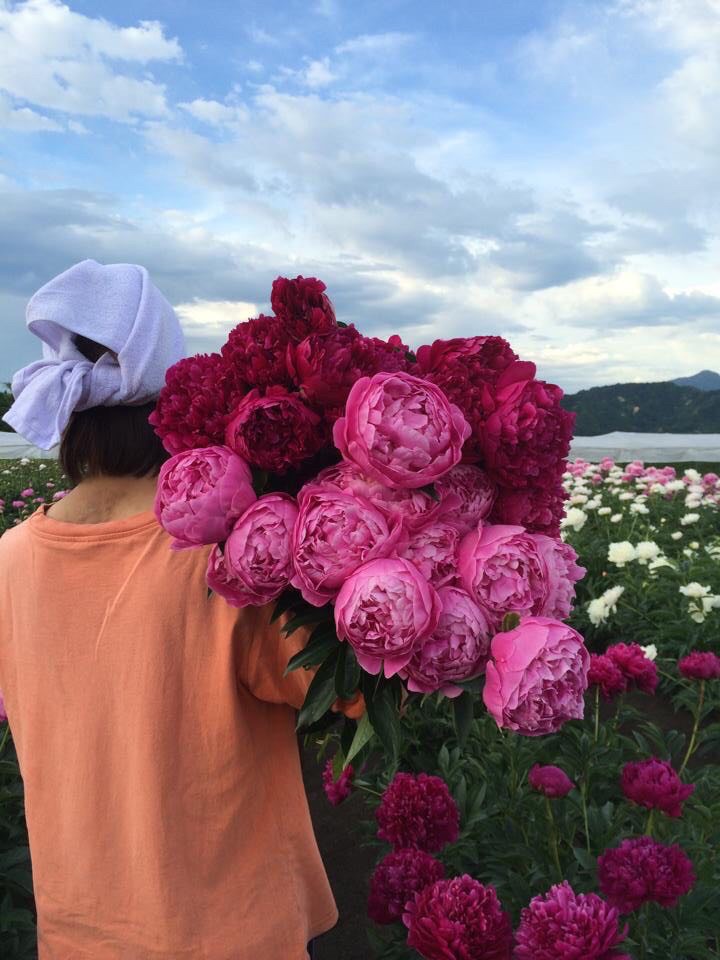 インタビュー 芍薬を知る 鈴木健市さん よいはな Yoihana 最高品質のお花をお届けするネット通販