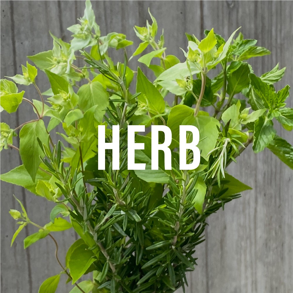 8月2日 ハーブの日 マウンテンミント スペアミント よいはな Yoihana 最高品質のお花をお届けするネット通販