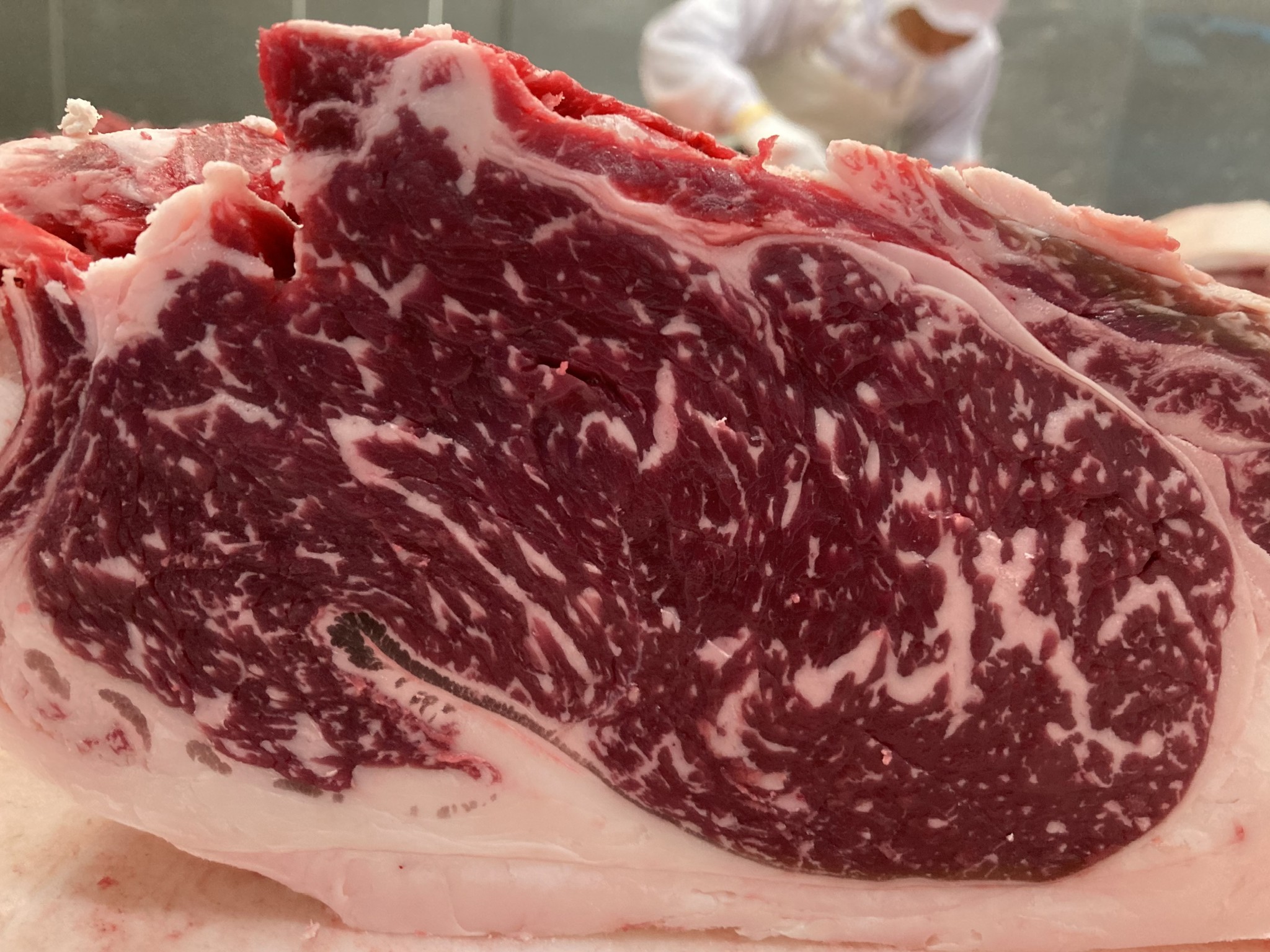 次回販売分のお肉 国分牧場三元牛 25 6カ月齢 Tokyohouzan 次回販売分のお肉 国分牧場三元牛 25 6カ月齢 Tokyohouzan