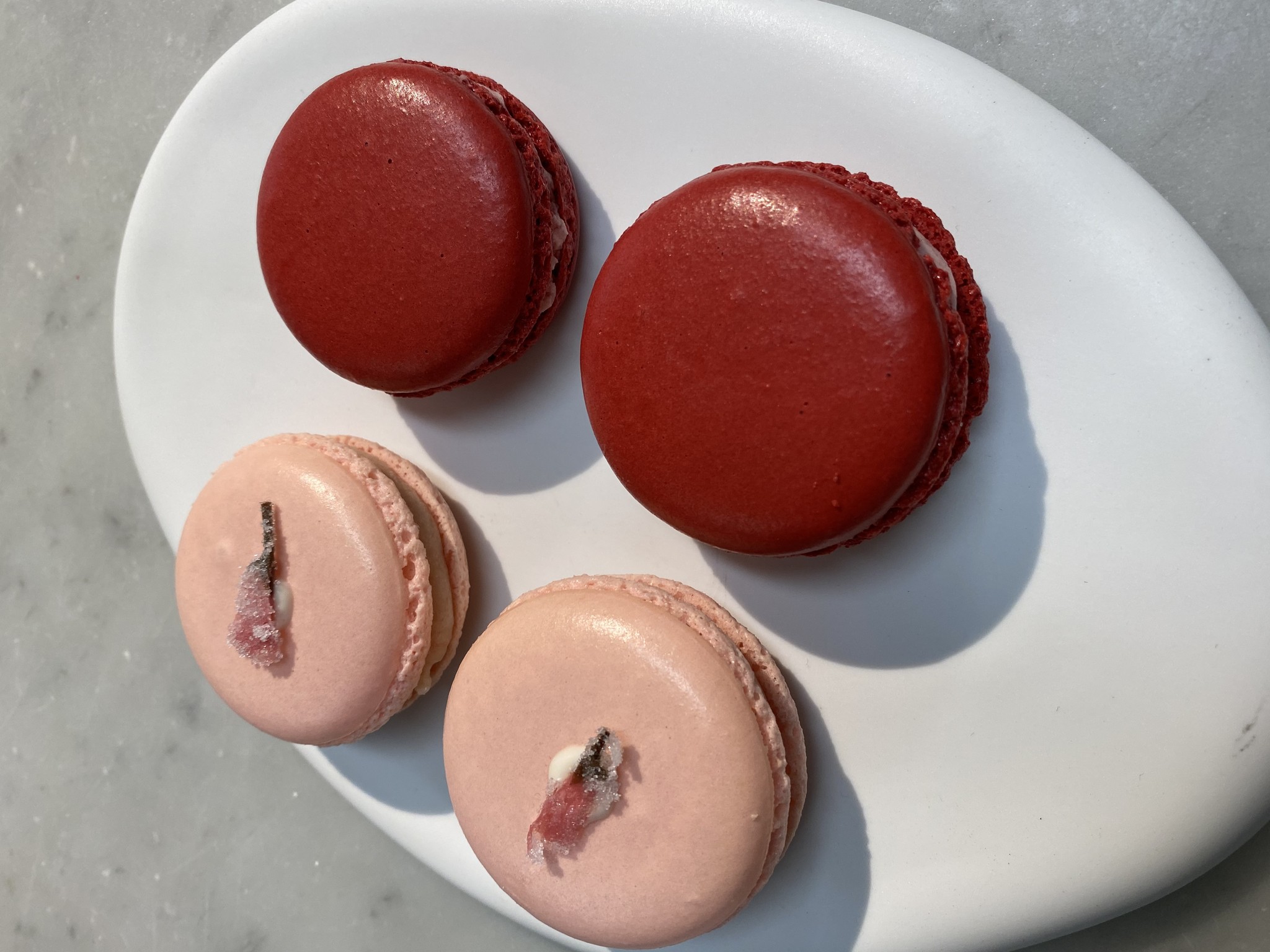 正解はマカロンです エトゥルスキ Etruschi オンラインショップ