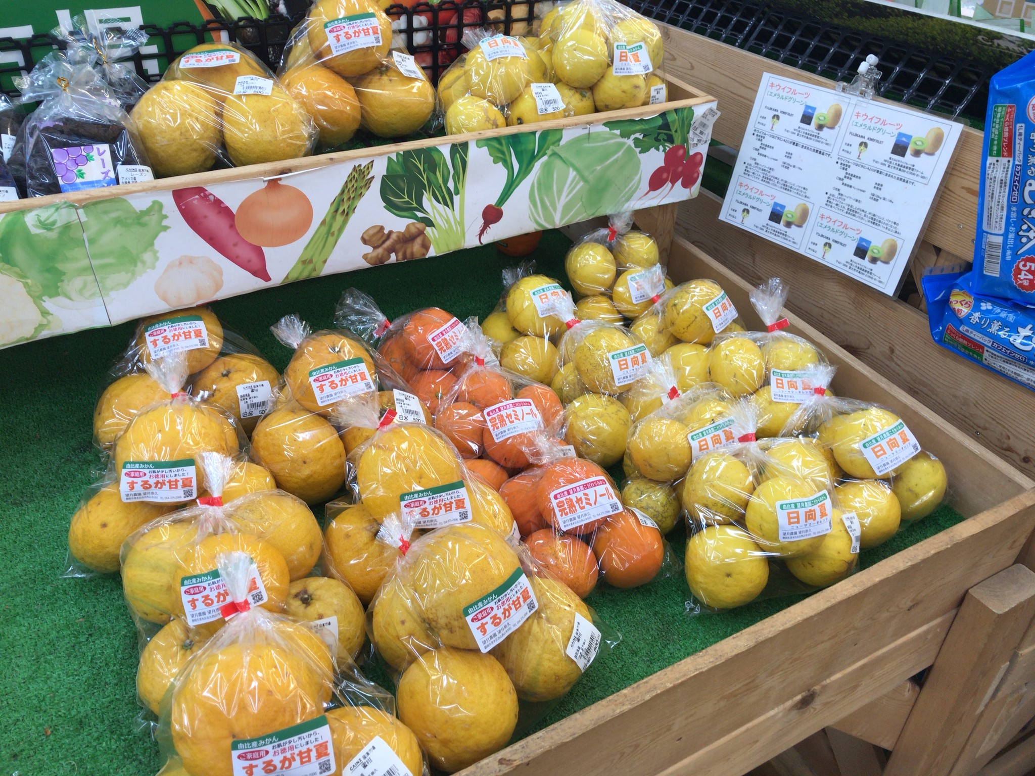 農産物直売所 カインズホーム 久保田屋 望月農園ネットショップ 農産物直売所 カインズホーム 久保田屋 望月農園ネットショップ