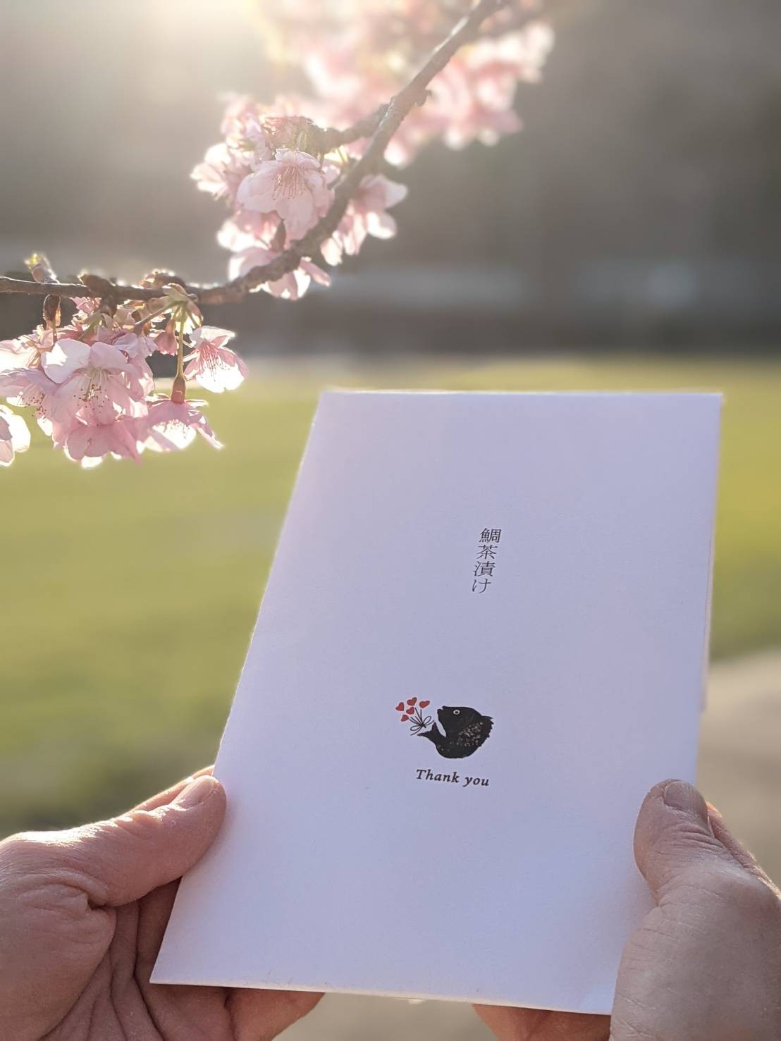出会いと別れの季節 ありがとうパッケージ 大下水産 出会いと別れの季節 ありがとうパッケージ 大下水産