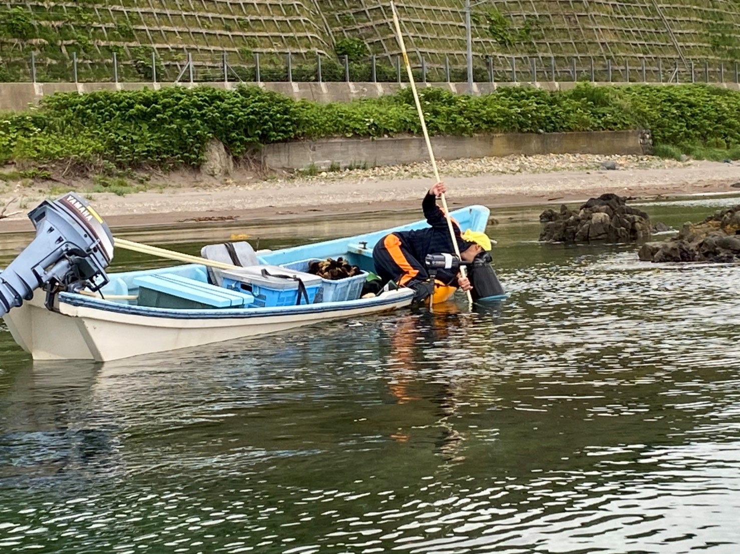 ブログ 年ウニ漁解禁 皆様にお届けするまで さいとう漁業