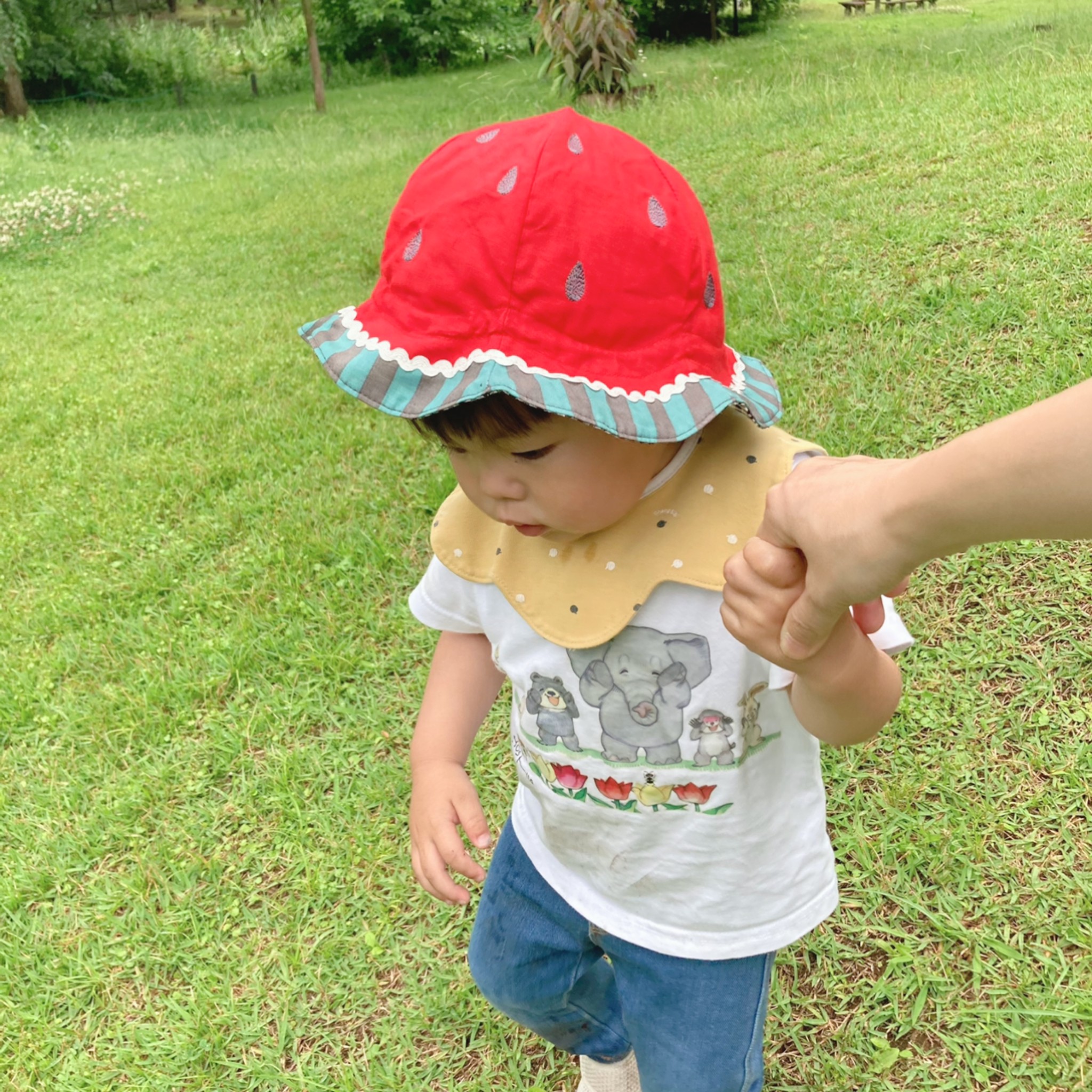 スイカの帽子 Emby スイカの帽子 Emby