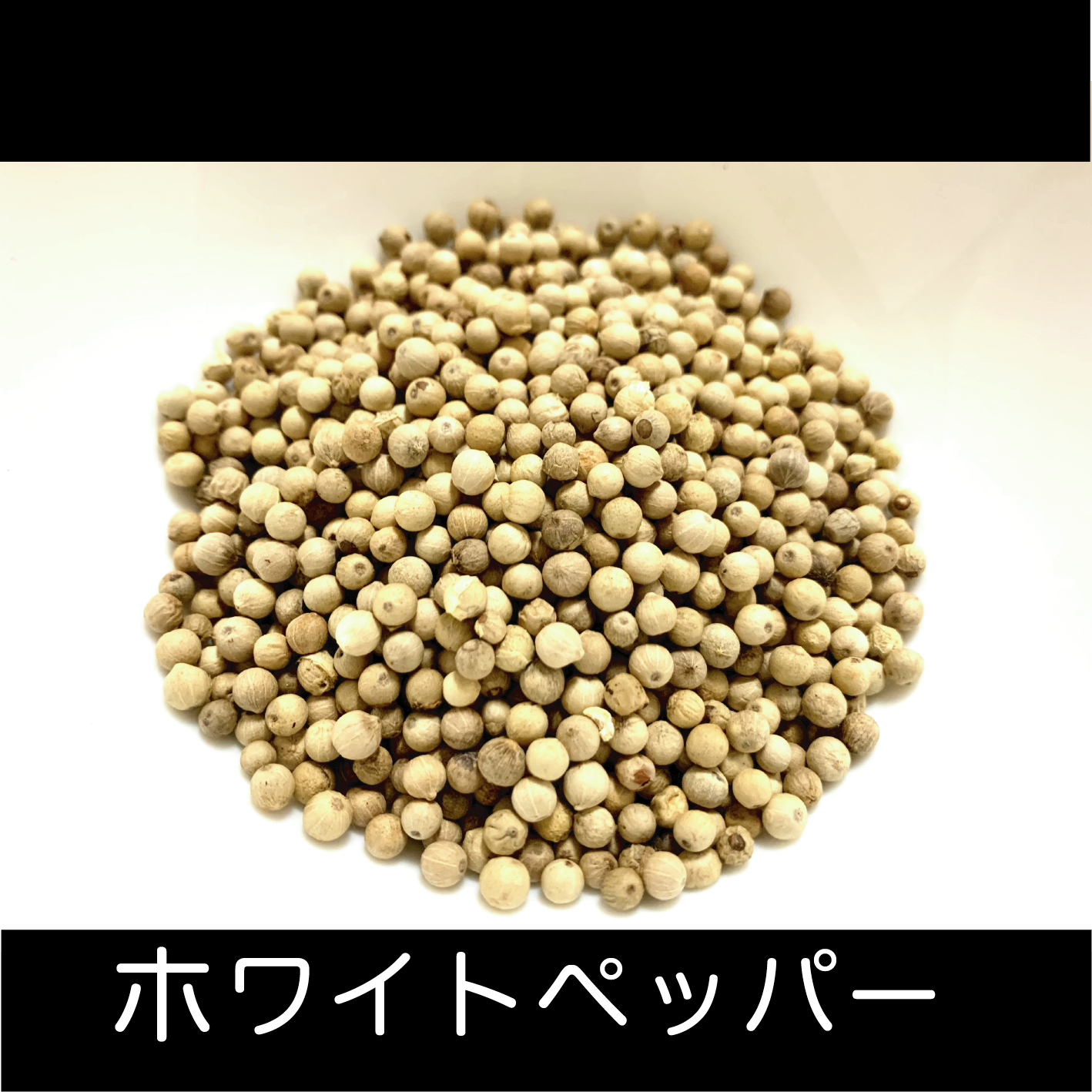 クラフトコーラの食材紹介 Vol 8 ホワイトペッパー クラフトソーダ工房coland コーランド