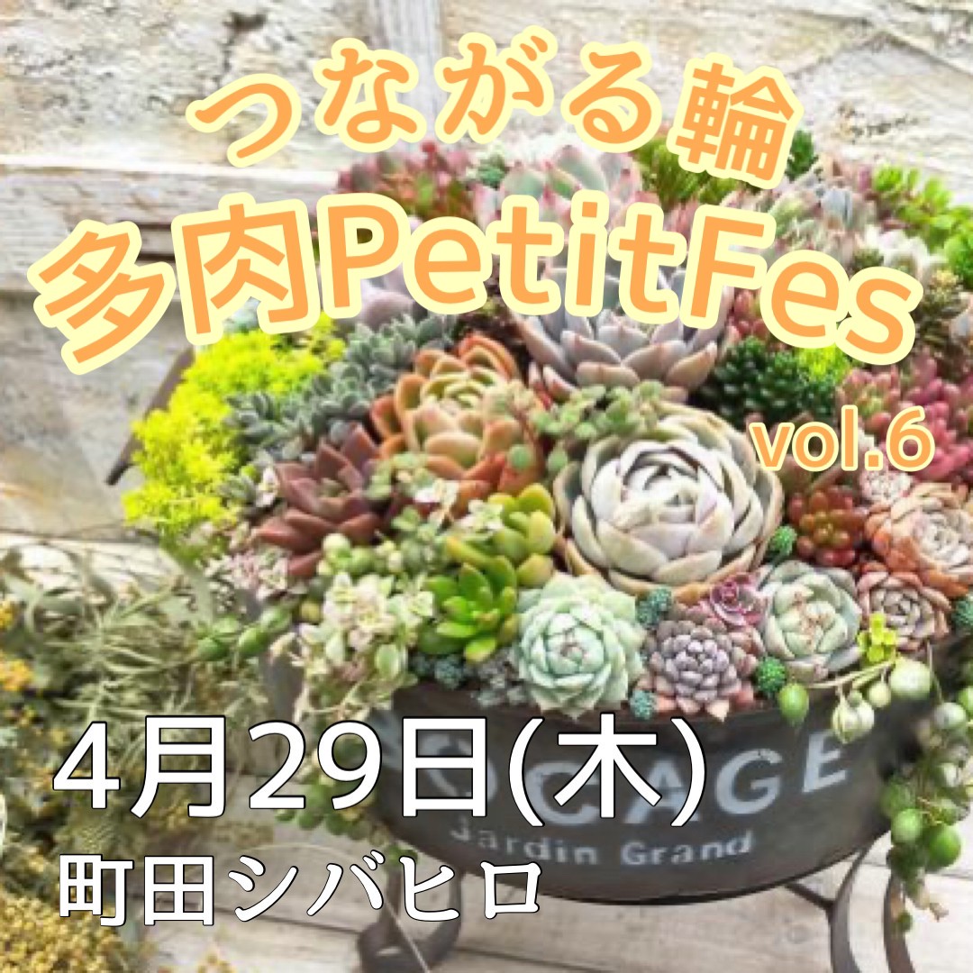 イベント出店情報 多肉植物専門店たーにっく イベント出店情報 多肉植物専門店たーにっく