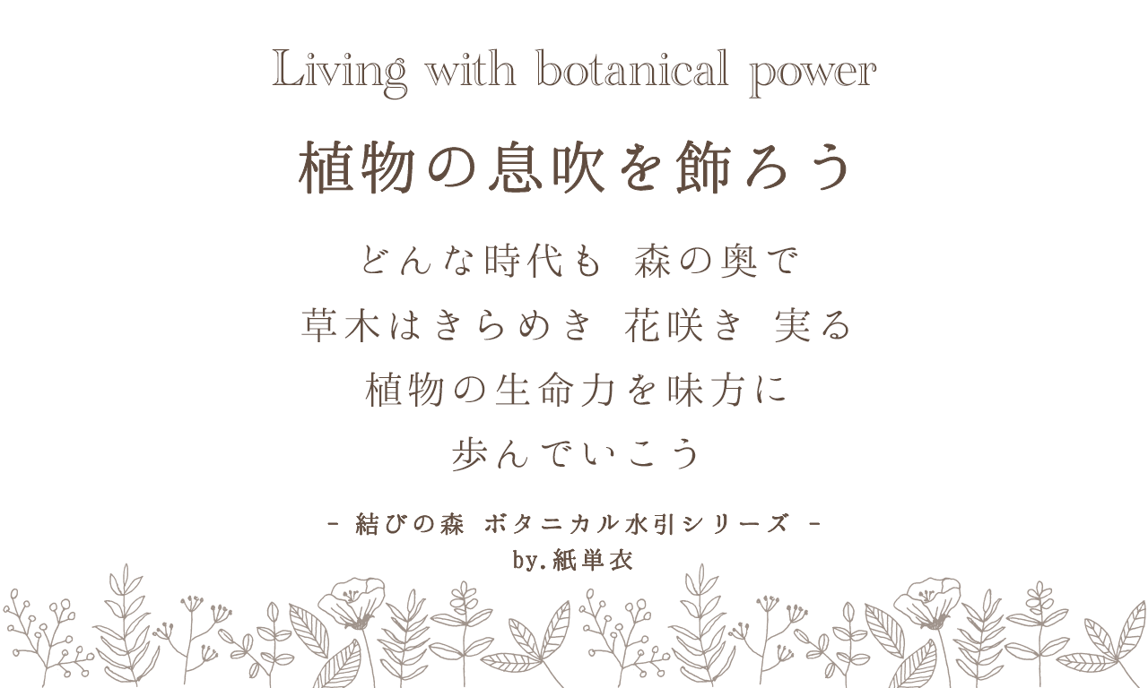 植物の息吹を飾る 結びの森 ボタニカル水引アクセサリー 水引リース 発売 限定ショップもopen 紙単衣 Kamihitoe 水引 アクセサリーと雑貨のお店