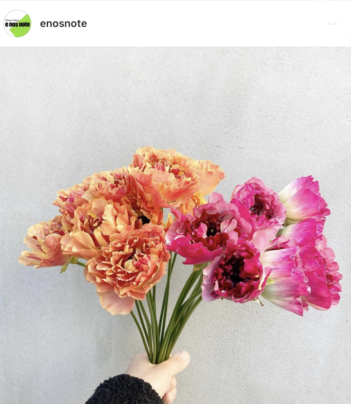 ラナンキュラス シャルロット アネモネ咲き Ranunculus Charlotte E Nos Note