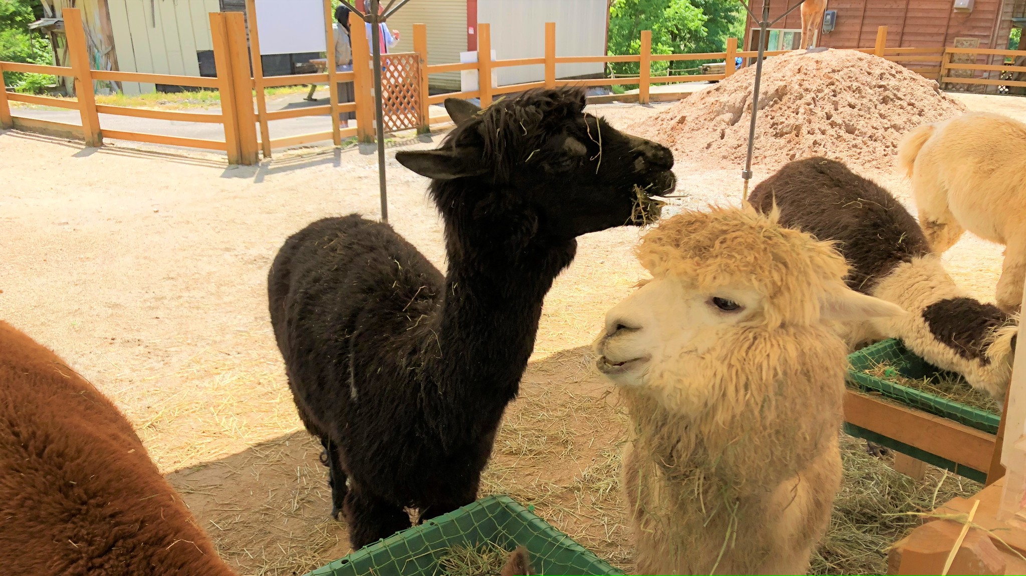 佐渡海洋深層水