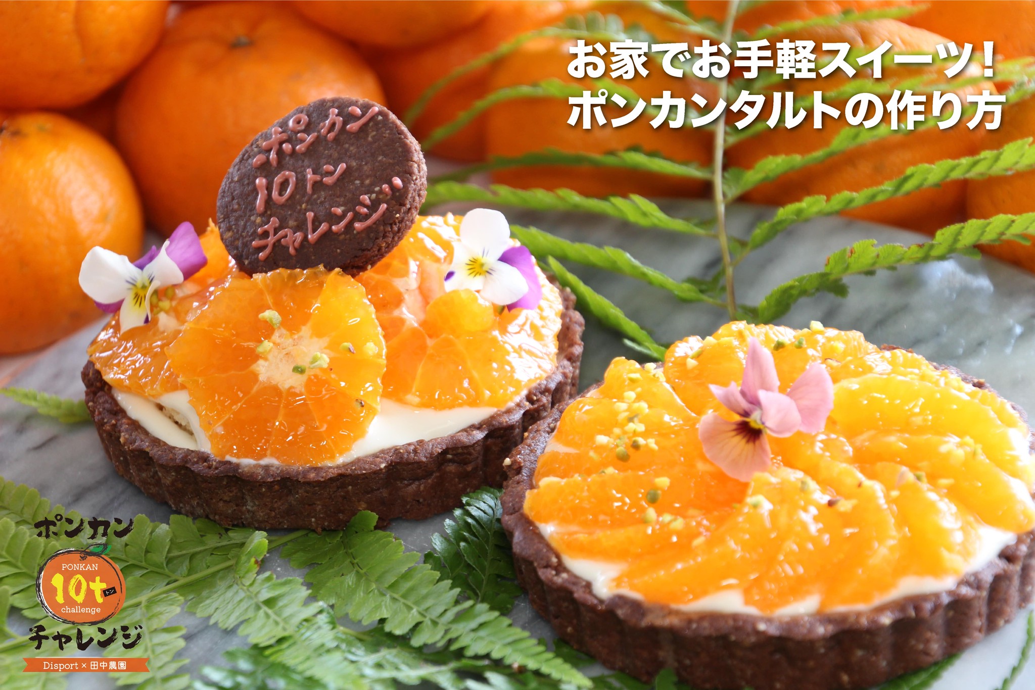 ポンカンの美味しい食べ方 応用編 トマト10 000玉チャレンジ