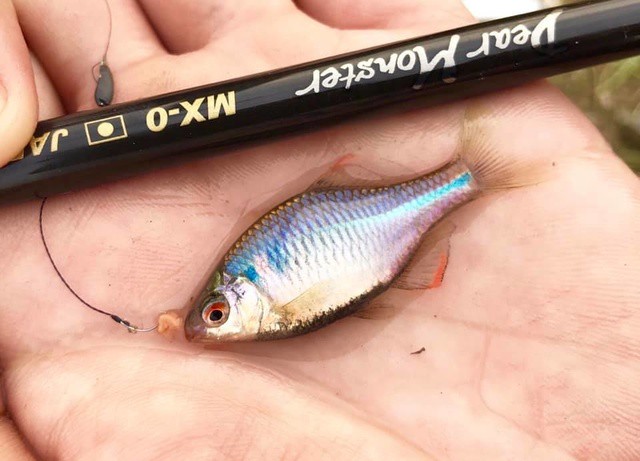 Mx 0どんな竿 Monster Base