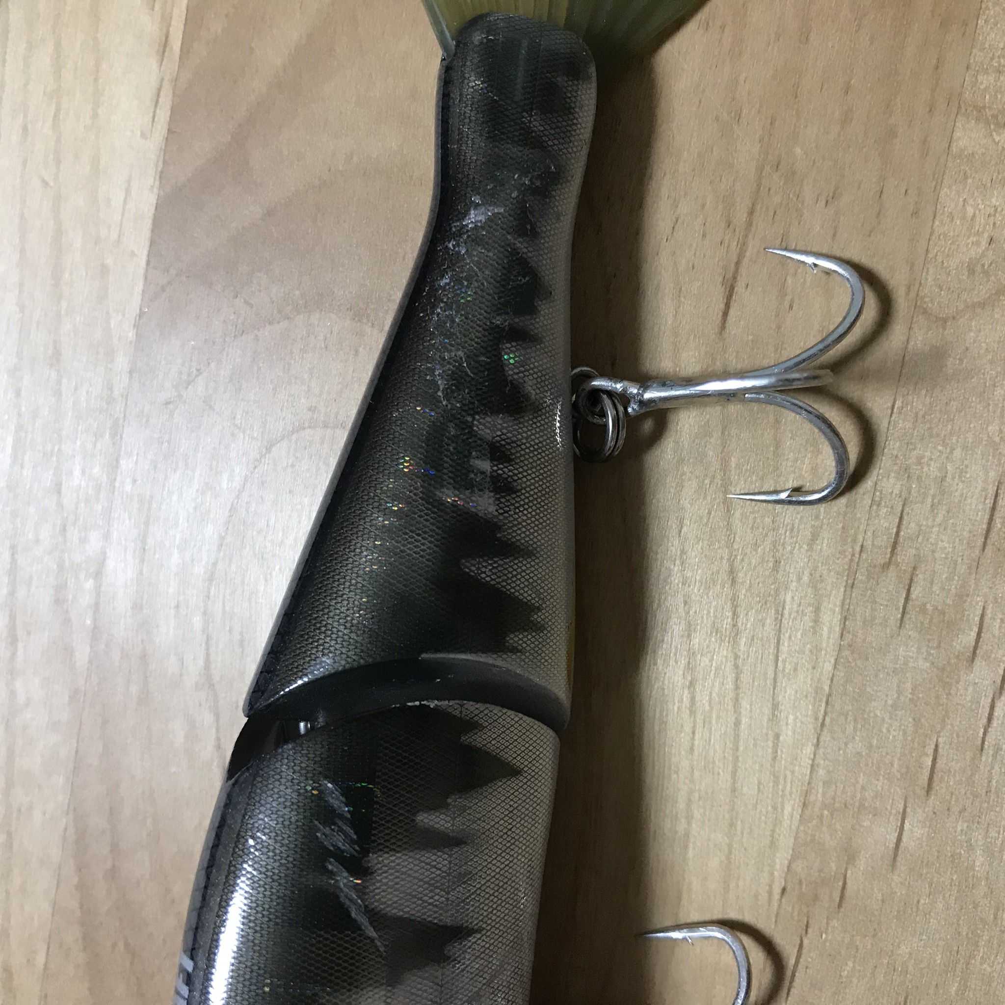 釣果報告 アカメ編 Monster Base