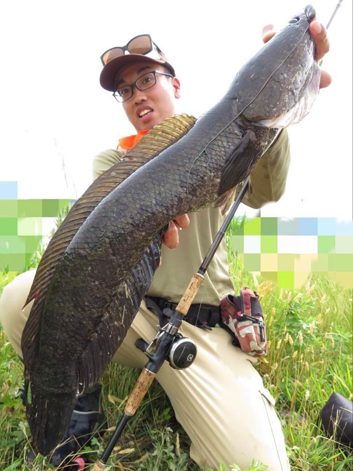 釣果報告いってみよか 雷魚遠征編 Monster Base 釣果報告いってみよか 雷魚遠征編 Monster Base