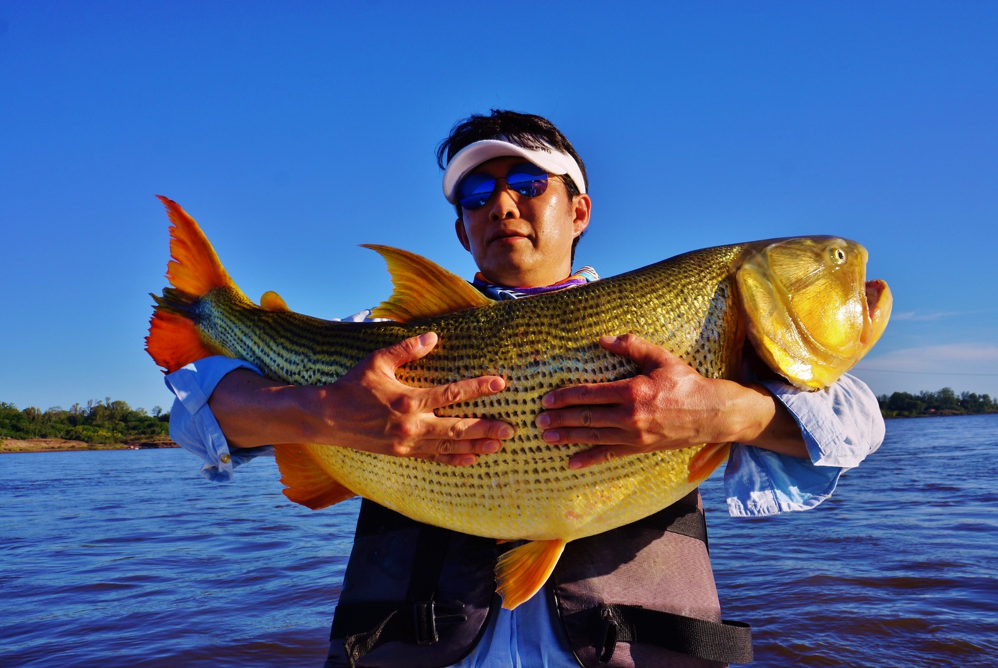 釣果報告 ドラド編 Monster Base