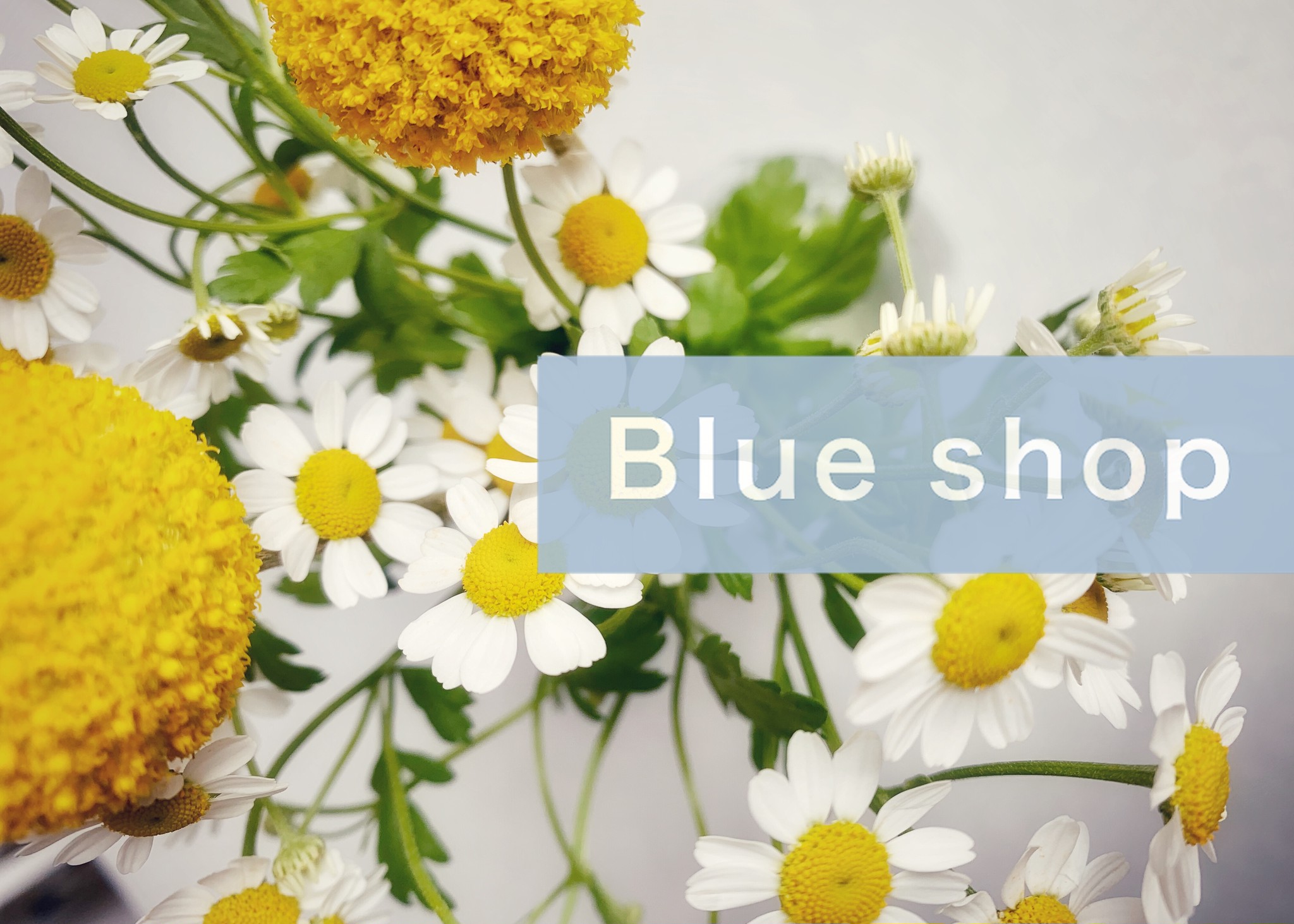 はじめましてblue Shopです New Open プチプラ韓国雑貨 人気の韓国インテリア小物 韓国雑貨通販 Blueshop はじめましてblue Shopです New Open プチプラ韓国雑貨 人気の韓国インテリア小物 韓国雑貨通販 Blueshop