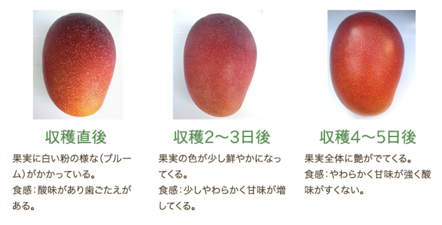 食べ頃 食べ方について 合同会社パリエージェント
