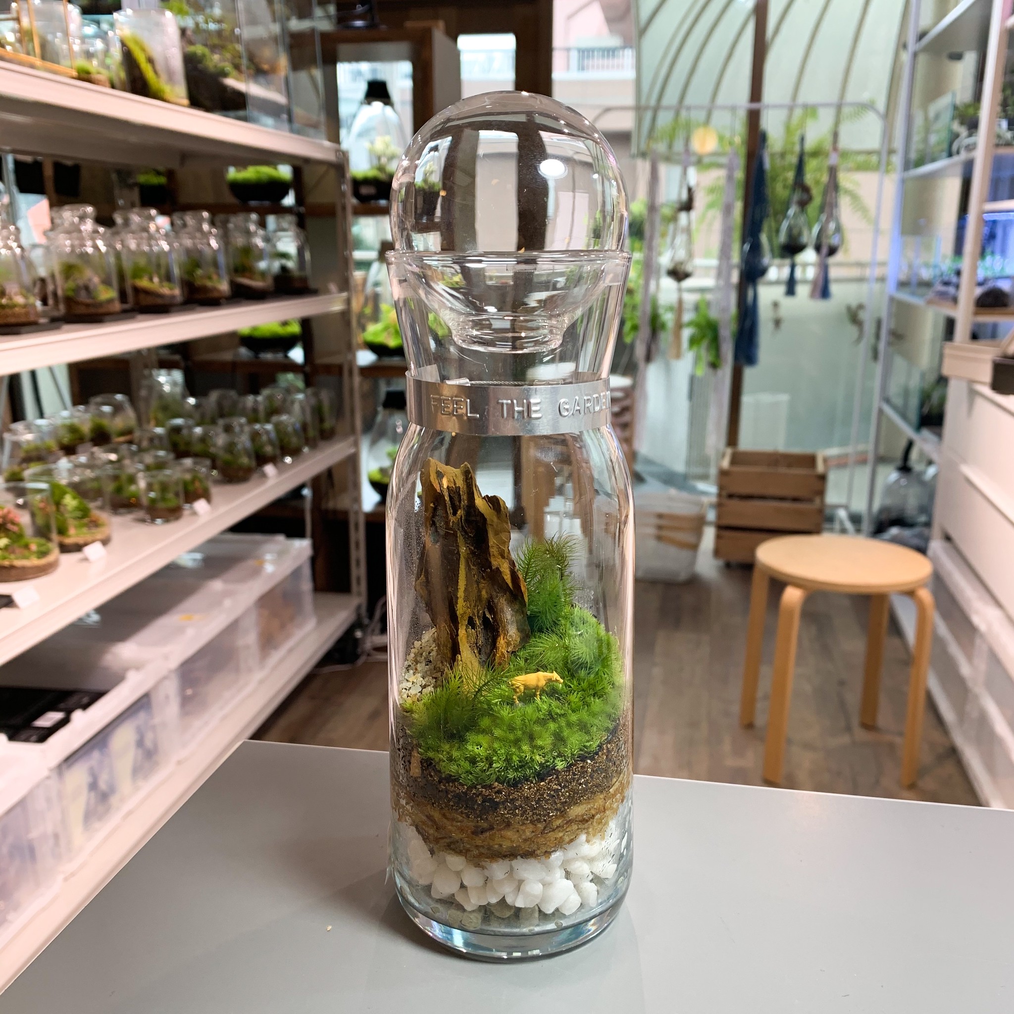 テラリウム専門店terrariums 店舗に関して Feel The Garden