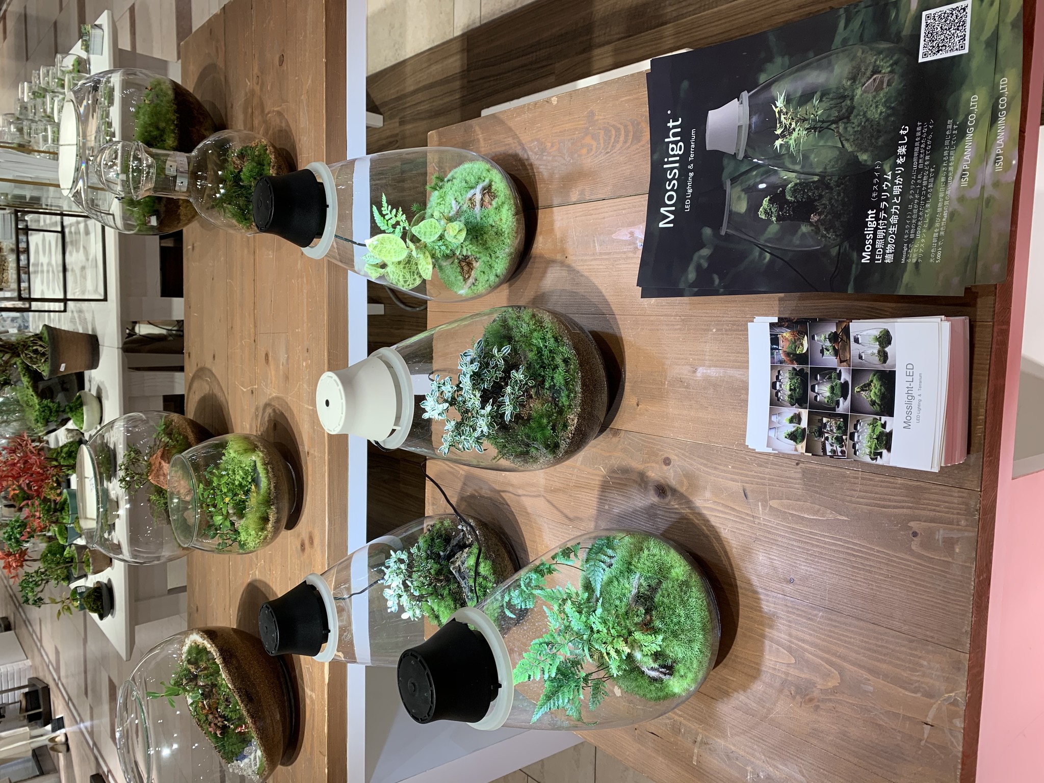 そごう横浜店 テラリウムの販売 ワークショップを行います Feel The Garden