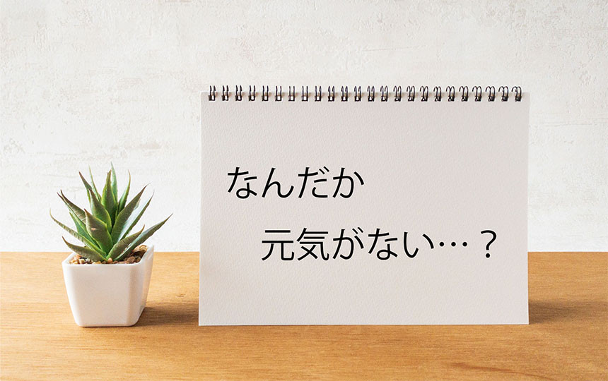 害虫対策は防除が第一 多肉植物研究所
