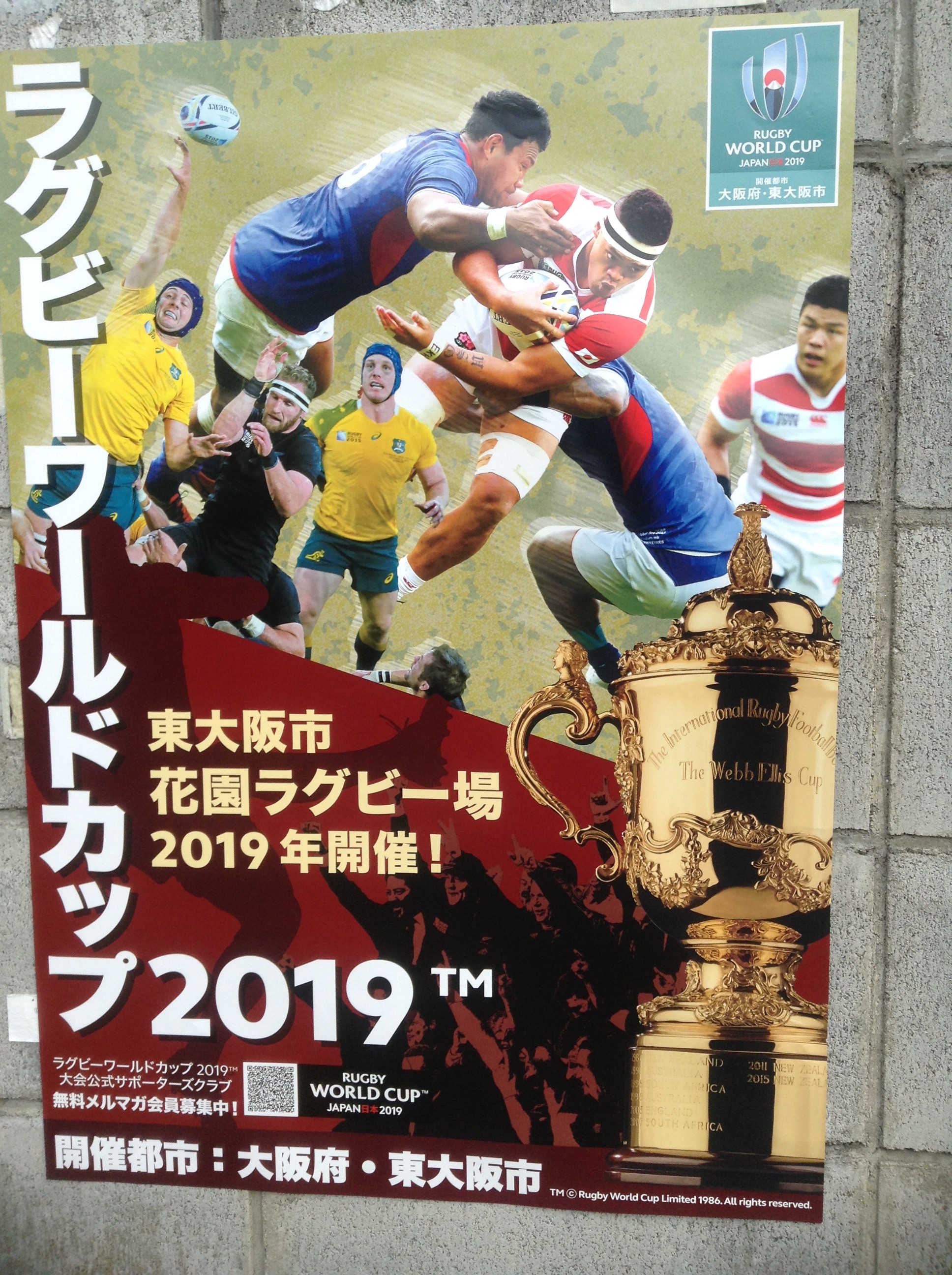 ラグビーポスター掲出 Rugby Jer Dual Dragon ラグビーポスター掲出 Rugby Jer Dual Dragon