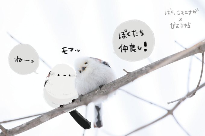 お仕事の実績 ぴよ手帖 シマエナガ雑貨 Official Online Shop