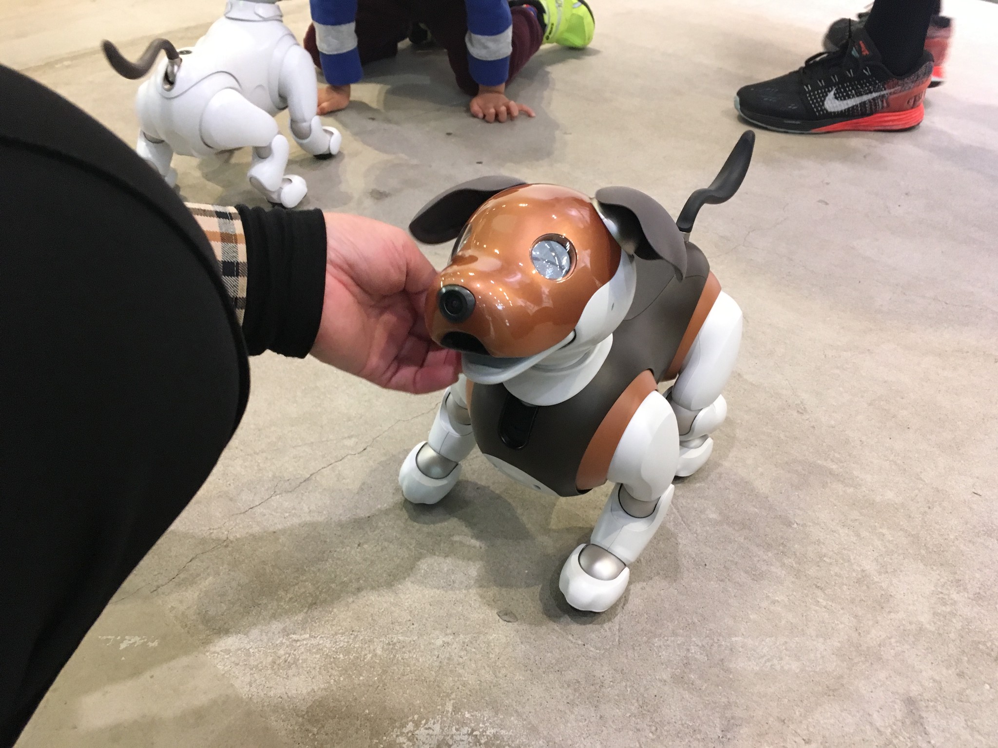ロボット犬 Popkimy