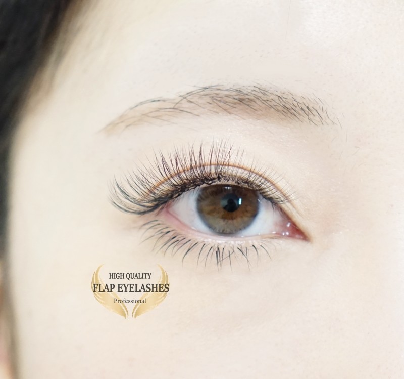 ４本フレアの装着デザイン まつげエクステ商材 Flap Eyelashes フラップアイラッシュ