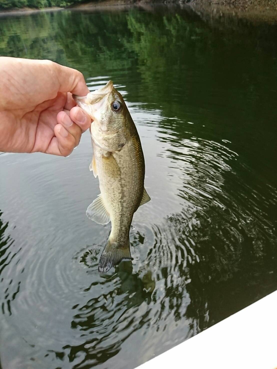 ストラップでget その81 82 83 Fuchulures フチュウルアーズ ストラップでget その81 82 83 Fuchulures フチュウルアーズ