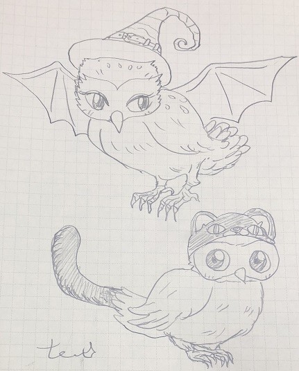 フクロウと猫は似ている説 ダイレクト出店