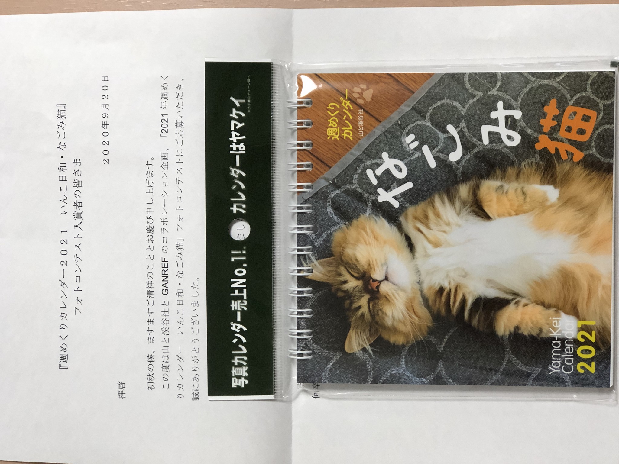 カレンダー Vivi Hana 黒猫ヴィヴィと虎猫はな