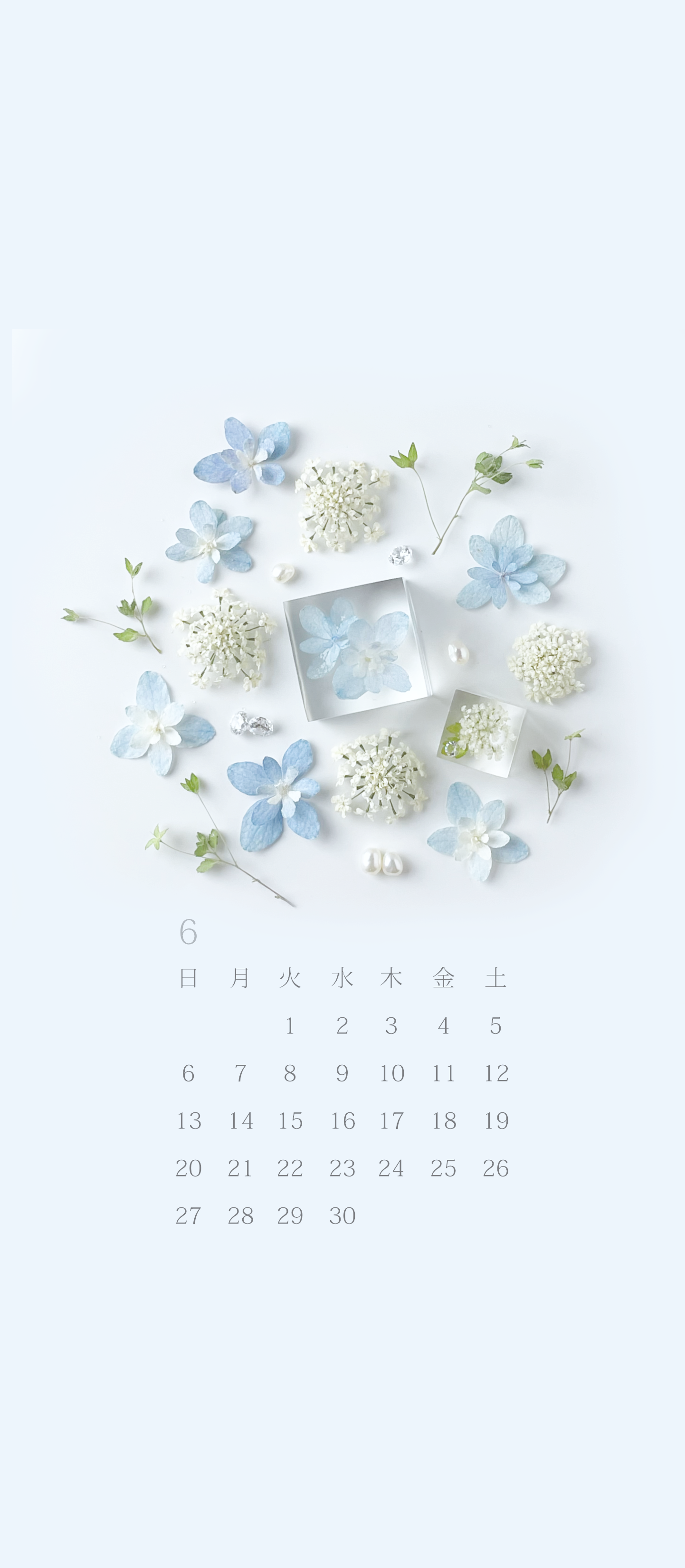 無料ロック画面カレンダー 6月 紫陽花とレースフラワー Michicusa