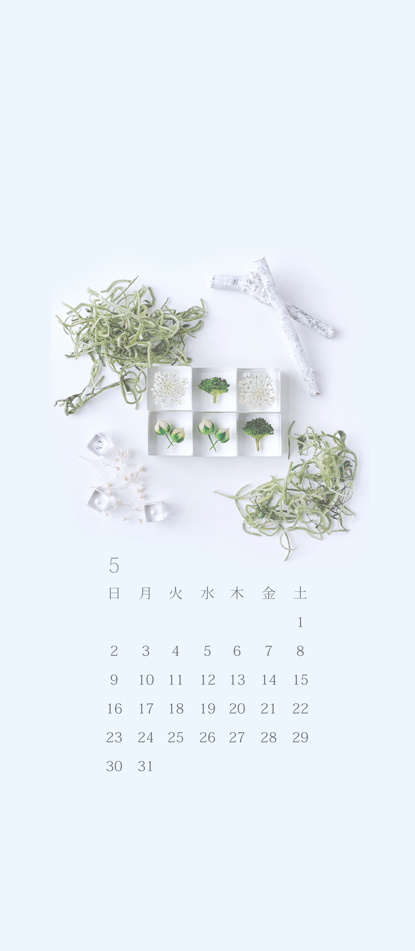 無料ロック画面カレンダー 5月 新緑のワンプレート Michicusa