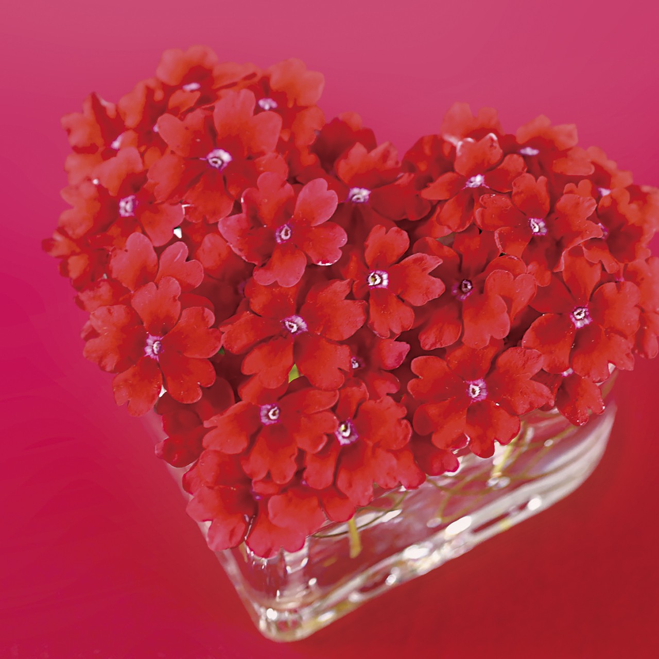 happyなカタチ 10月のカレンダー 花手毬 kokorozukushi