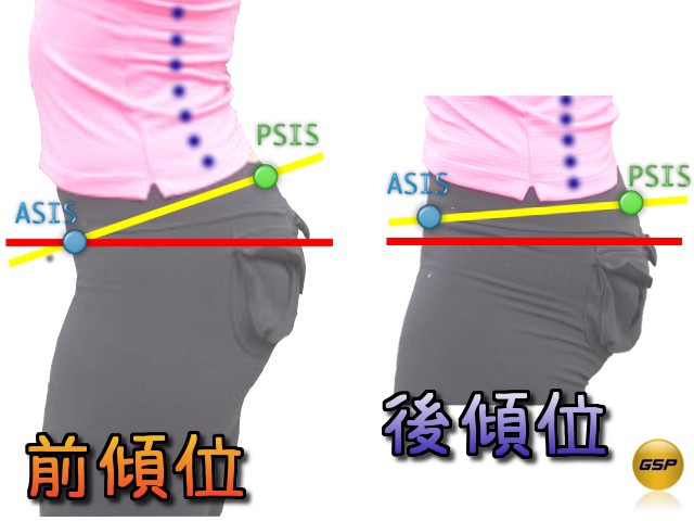 骨盤前傾位 Fapta とは ツブる価値は無限大 視覚でイメージを膨らませ 実践に繋げるポイント ツブツブ ワーク スタイル