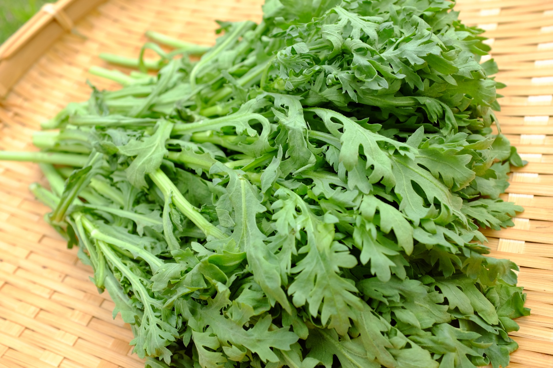 香りを楽しむ 春菊 で春を感じる豚肉レシピ Japan X Online Shop 香りを楽しむ 春菊 で春を感じる豚肉レシピ Japan X Online Shop