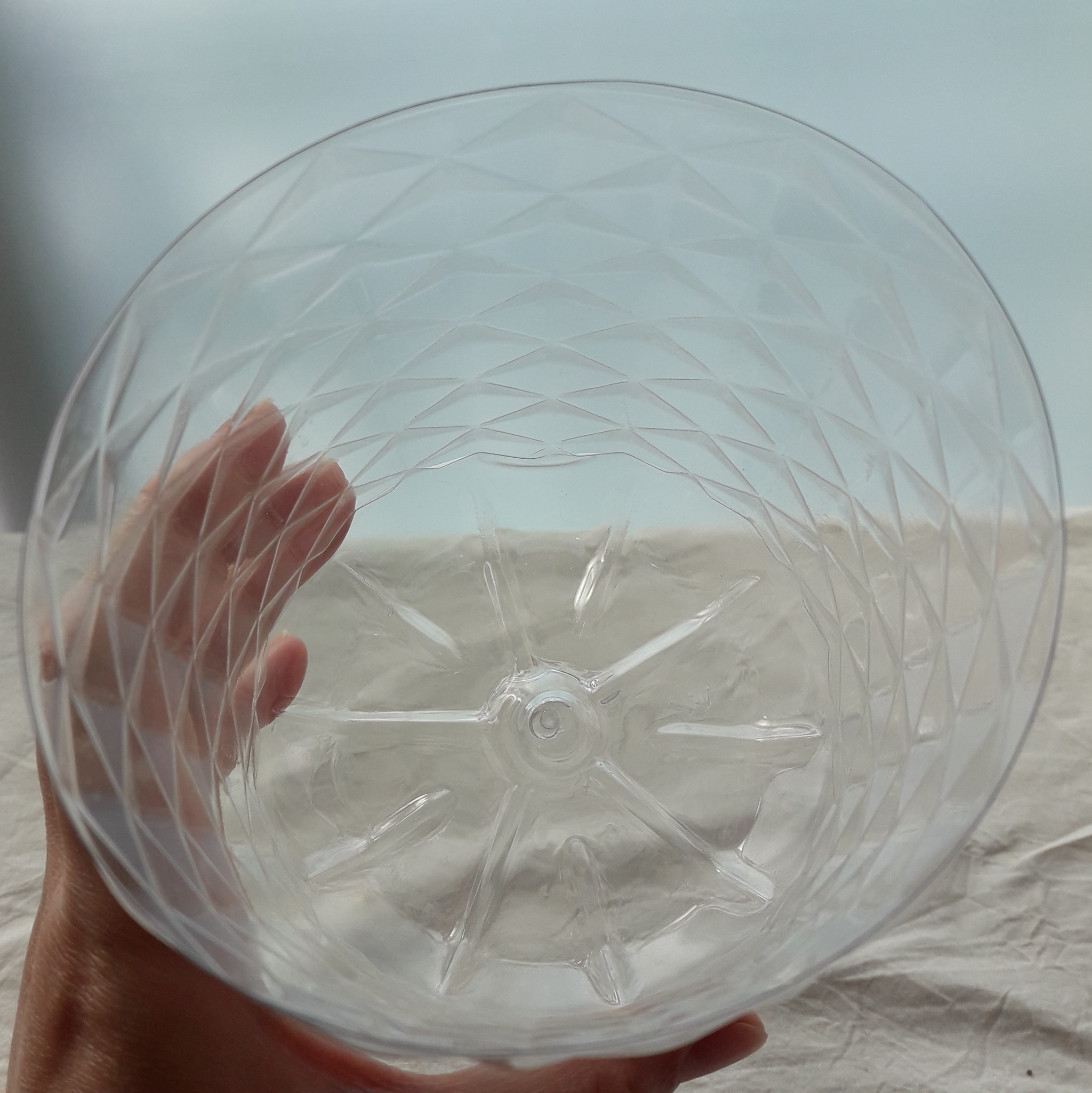 ペットボトルを再利用 リトープスの種まき リトープスぷりん