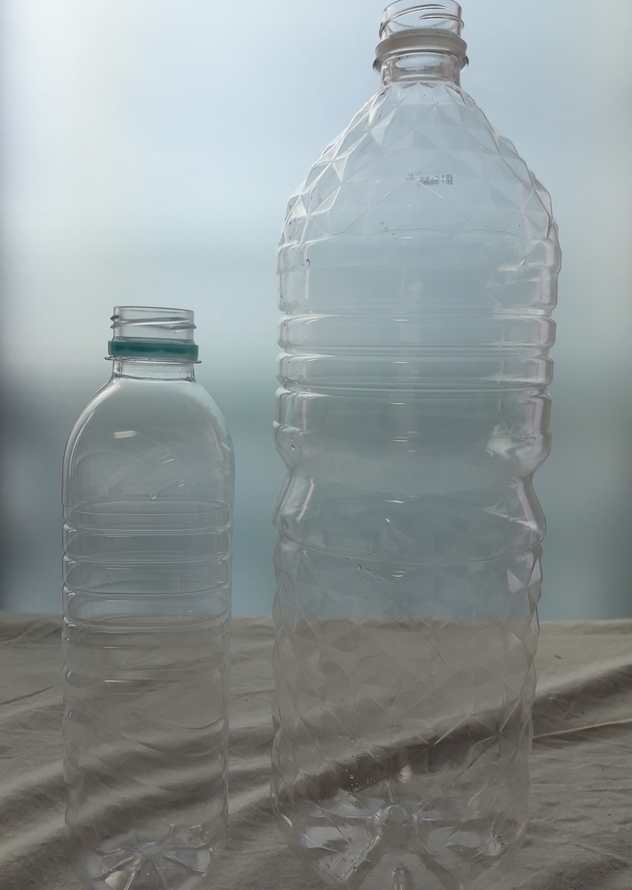 ペットボトルを再利用 リトープスの種まき リトープスぷりん