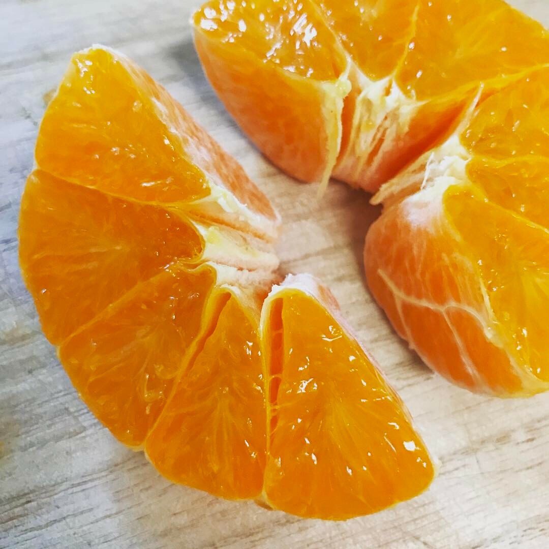 無農薬 無化学肥料で自然と人の手で心を込めて育てた 屋久島たんかん やくしま自然ファーム 公式オンラインショップ 無農薬 無化学肥料で自然と人の手で心を込めて育てた 屋久島たんかん やくしま自然ファーム 公式オンラインショップ