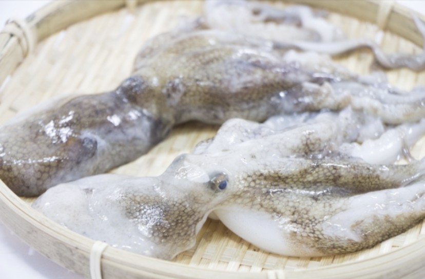 タコ 下処理は簡単だが 手を抜くと後悔 生の鮮魚屋 三陸 気仙沼 まぐろの目玉