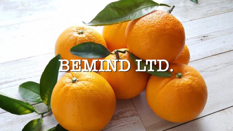 産後の気分転換にはオレンジで Bemind