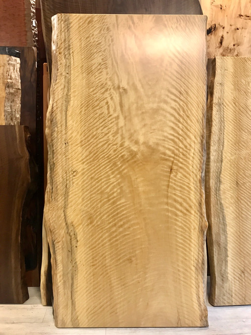 new 青山店に シカモア トラ杢 一枚板が入荷しました 無垢一枚板テーブル専門店 千年家具 在庫2000枚以上 ウォールナット 栃 ブビンガ slab team