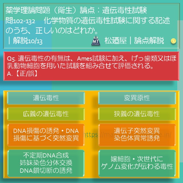 松廼屋 mats thebase