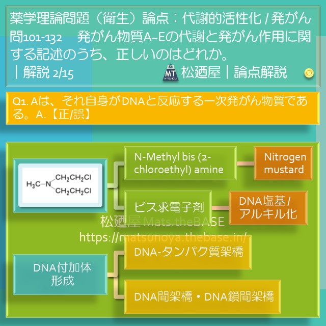 松廼屋 mats thebase