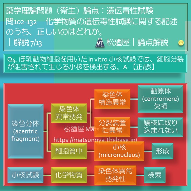 松廼屋 mats thebase